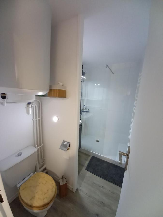Appartement Cabine St-Lary-Soulan, Calme, Entierement Renove Saint-Lary-Soulan Eksteriør bilde